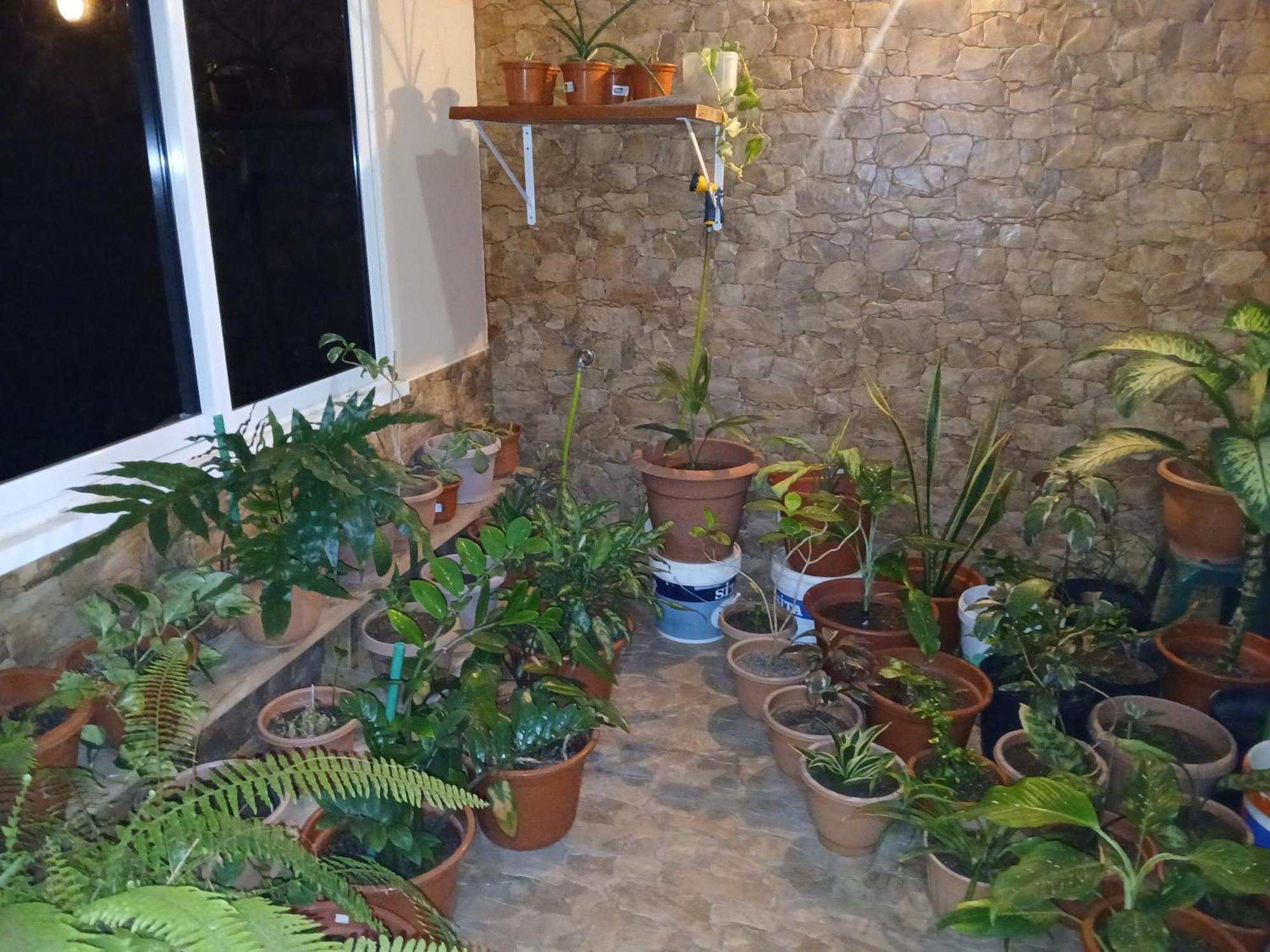 Guest house Nifa House Espargos